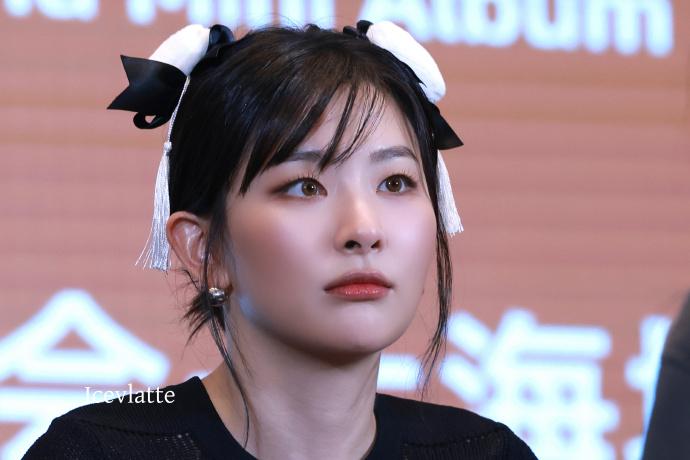 레드벨벳 슬기의 이번주 중국 팬싸 모습.jpg1_1.png.jpg