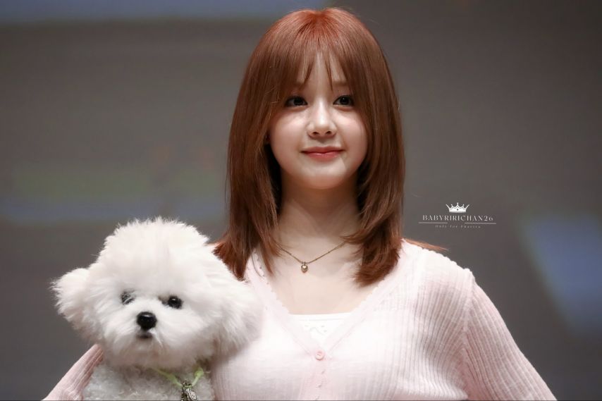 베이비몬스터 파리타 (1)