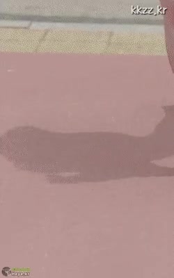 a6f41fff061f8723dded505e04d89f80_1676506941_2041.gif