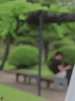 afa026ba66e4d55d310bf4a20858659d_1676506943_79.gif