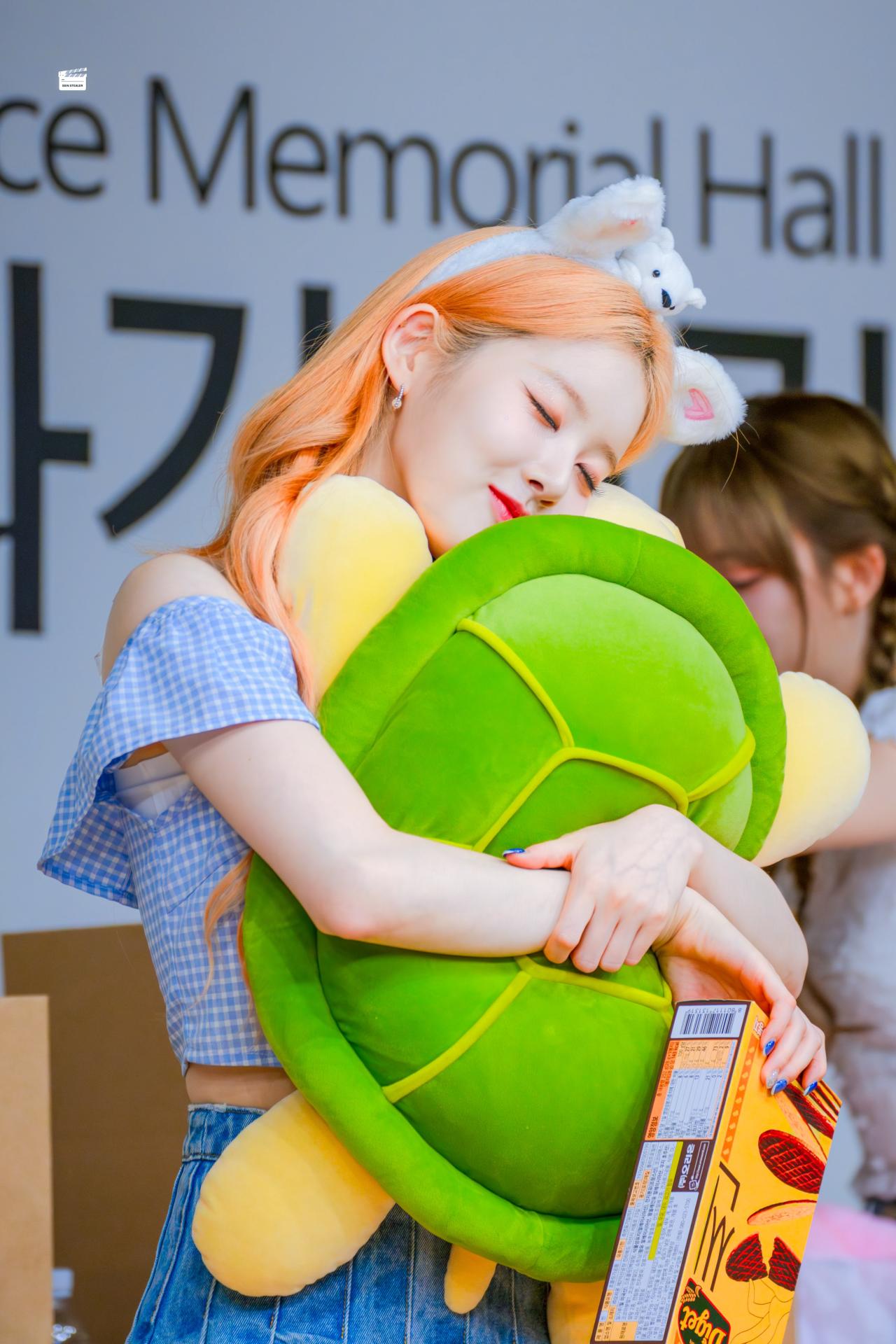 거북시은.jpg