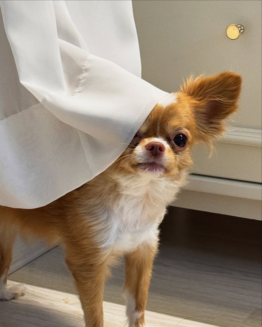 예원 (김예원) ig 7개월만에 내 유튭 촬영을 했다아.!2_4.jpg