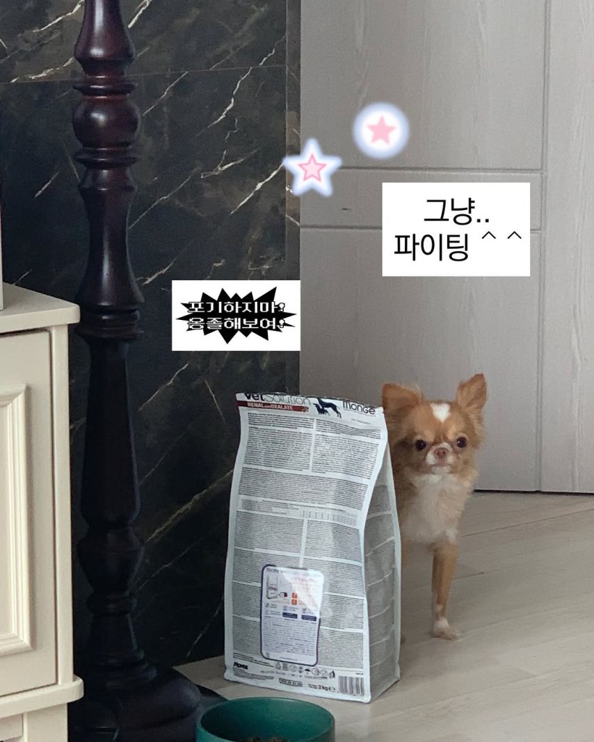 예원 (김예원) ig 7개월만에 내 유튭 촬영을 했다아.!2_5.jpg