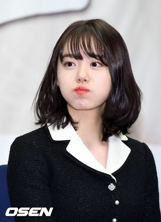    펭귄류 1픽 소혜
