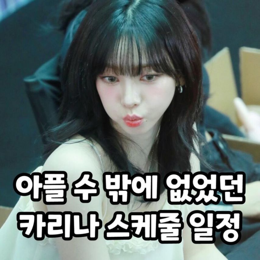 아플 수 밖에 없었던 카리나 스케줄 일정1_1.jpg