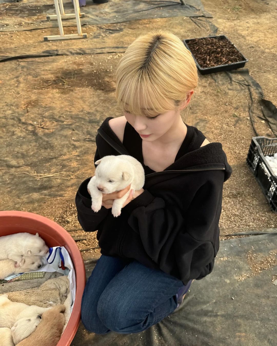 에스파 지젤1_26.jpg