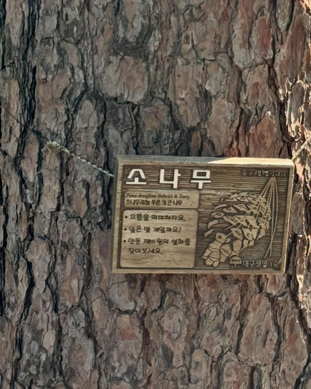 에스파 지젤1_20.jpg