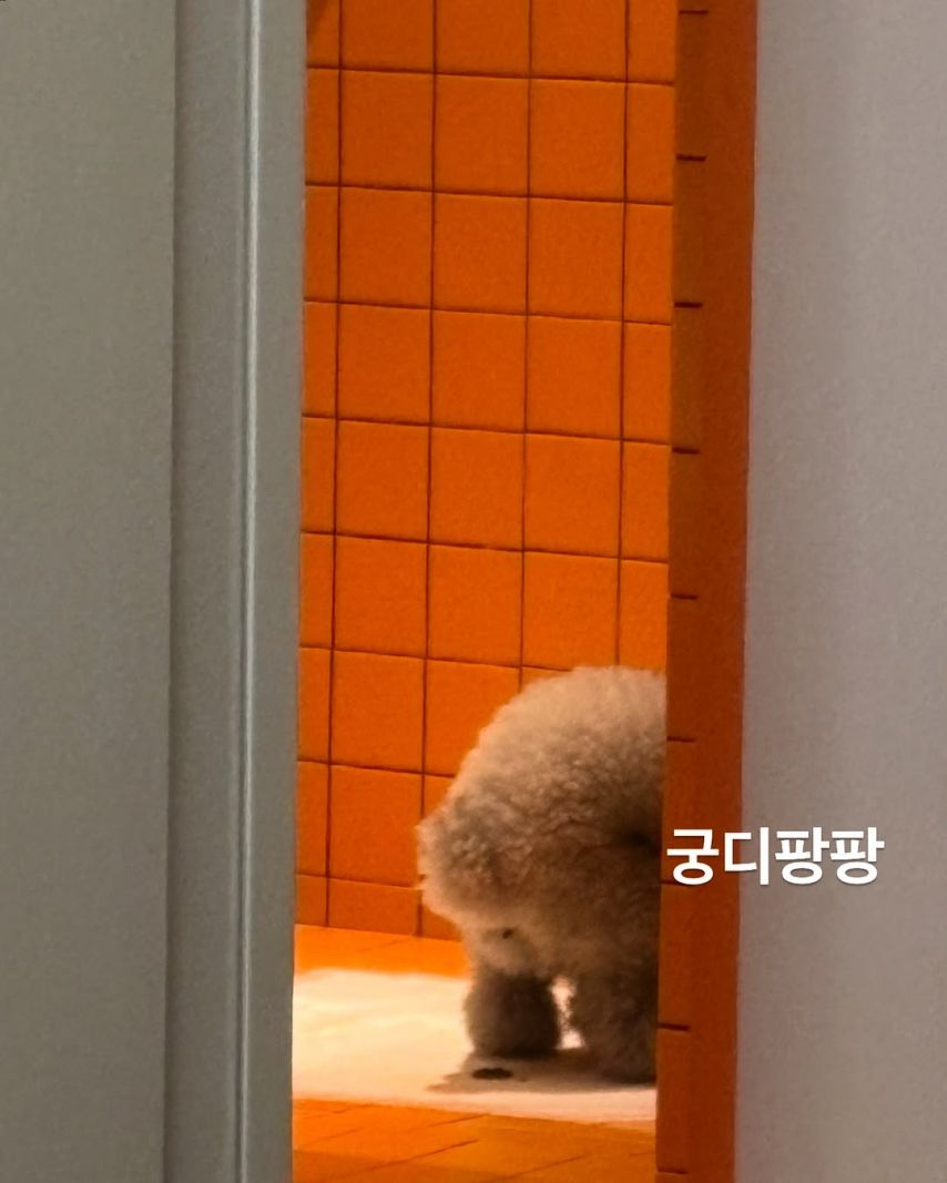 배우 나나 (전 애프터스쿨) SNS1_10.jpg