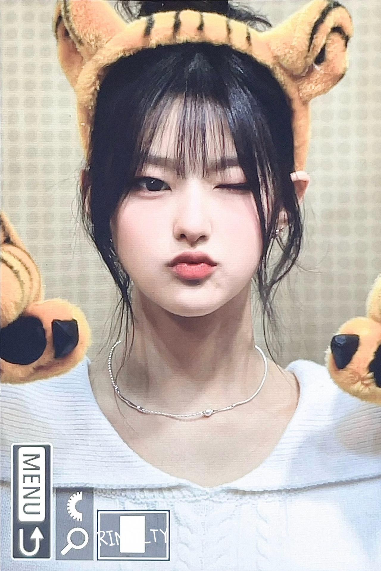 양.jpg