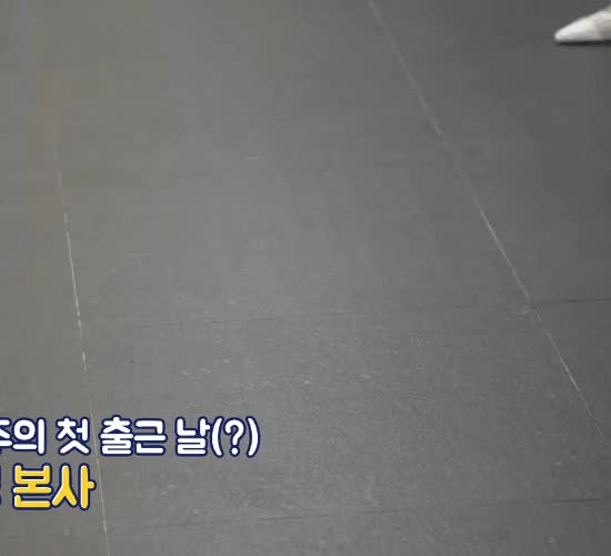 f26b558857a02394c753e17a044dd26d_1675939771_0149.gif
