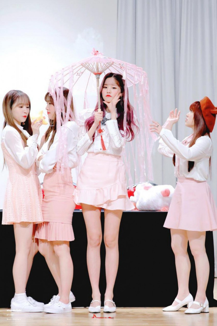    나코가 비를 피하는방법