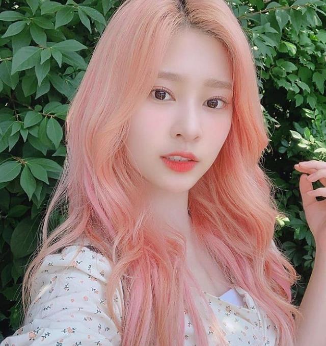 김짤닷컴_011.jpg