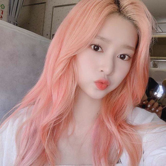 김짤닷컴_012.jpg