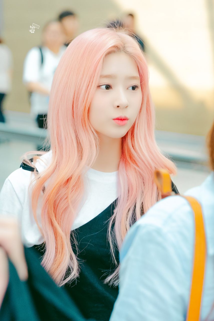 김짤닷컴_003.jpg