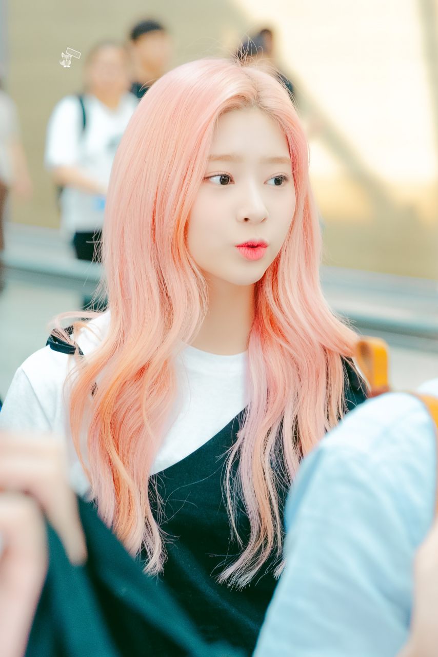 김짤닷컴_004.jpg