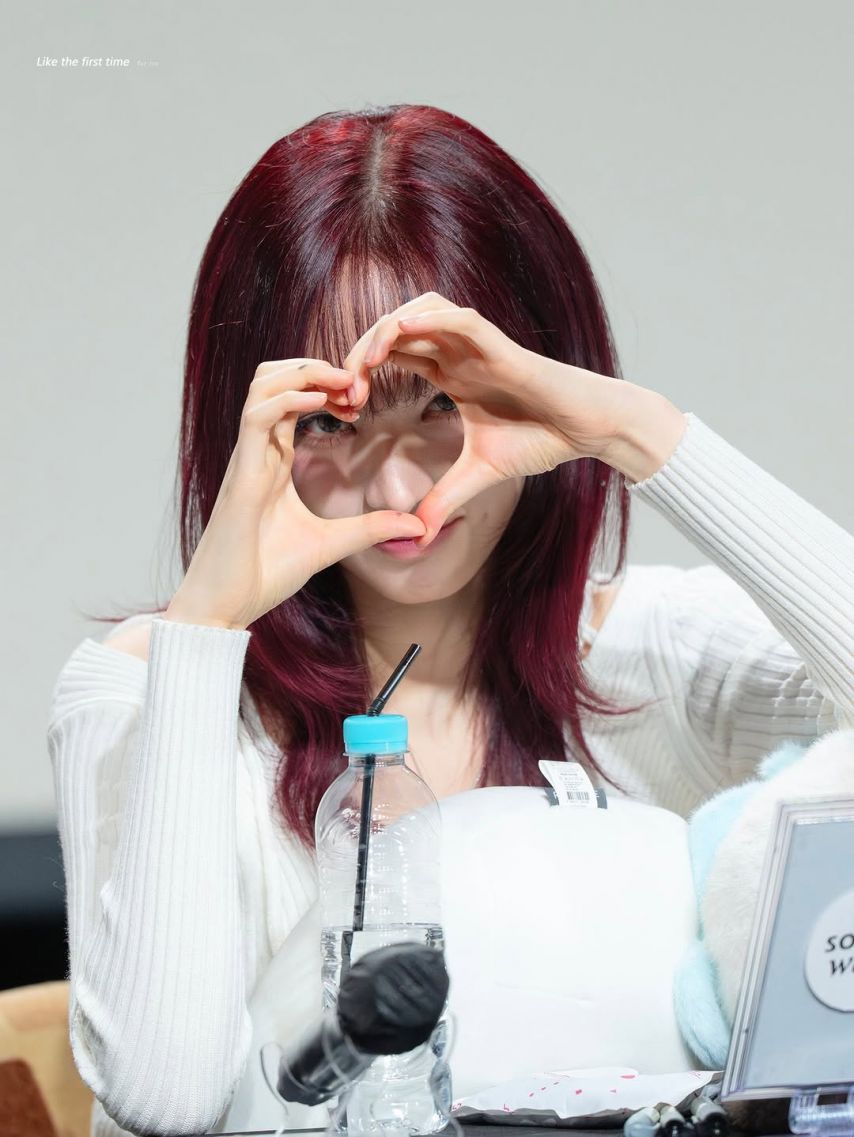 IVE (아이브) 리즈 (14)