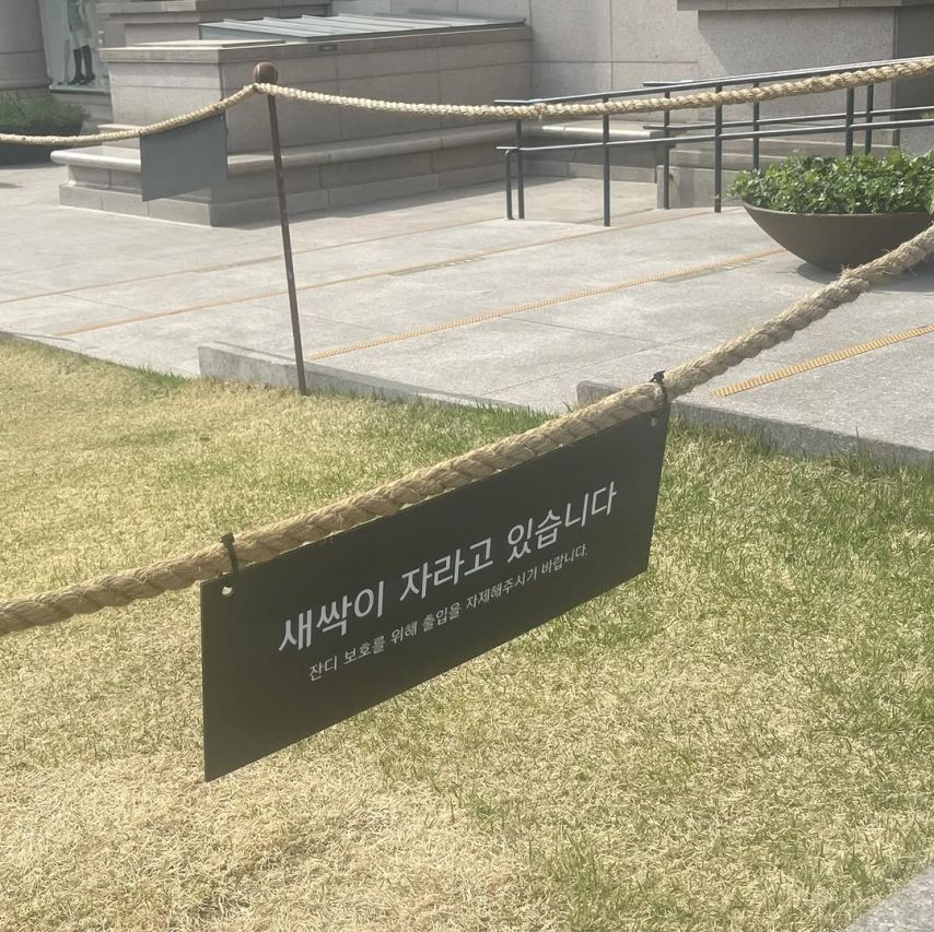 김향기 ig 저 세상 필터 so spring! 지혜를 주시오!1_8.jpg