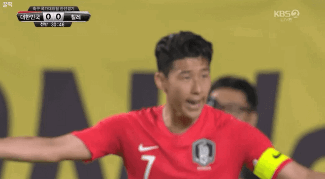 EverlastingRegularAnura-size_restricted.gif