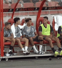 IMG_8756.gif
