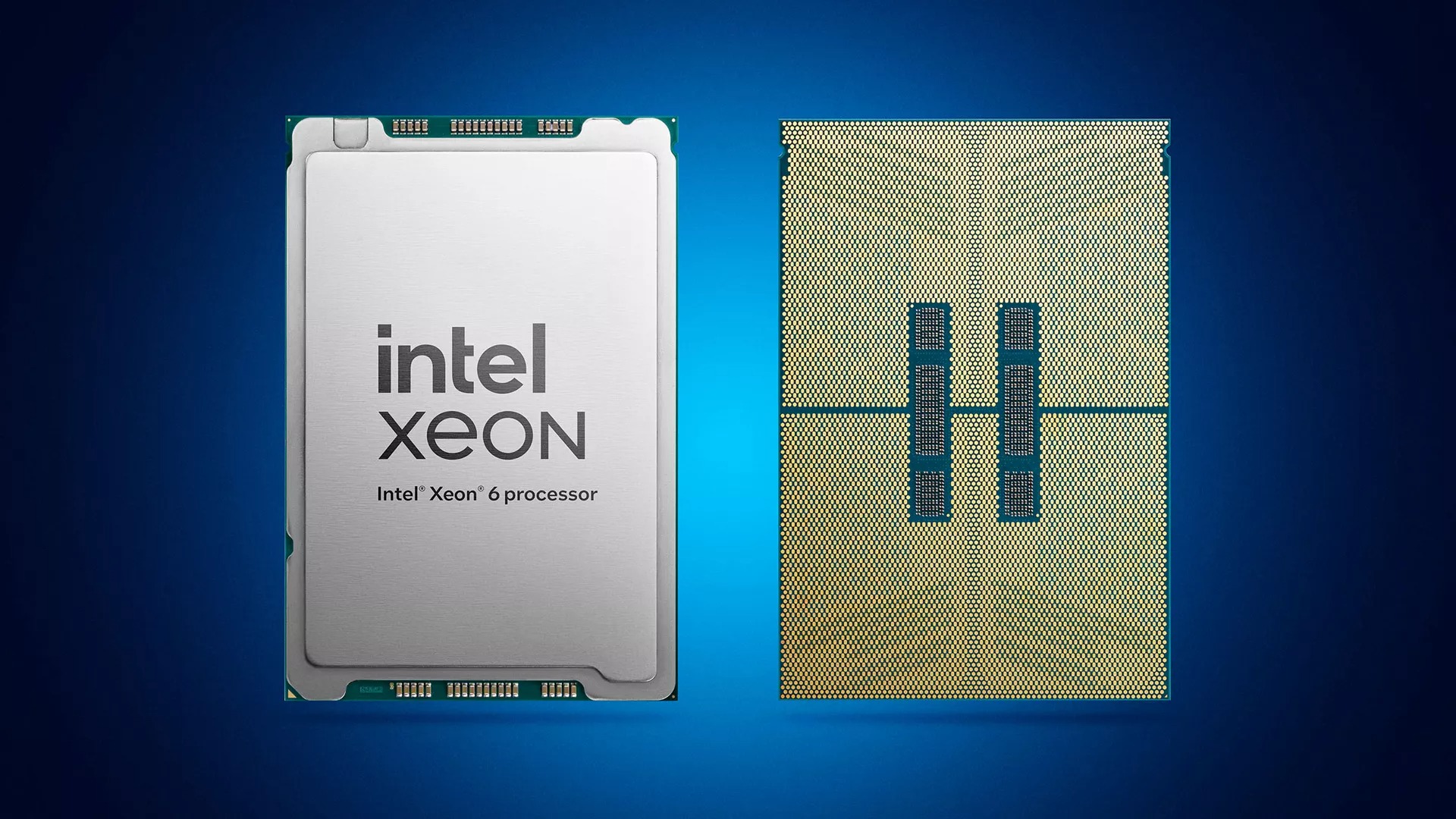 INTEL-XEON-6-2.jpg