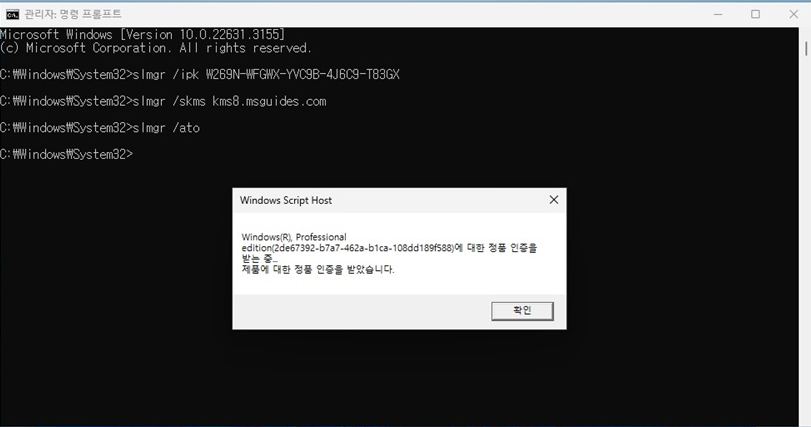 윈도우11 정품인증 하는 방법 (8)