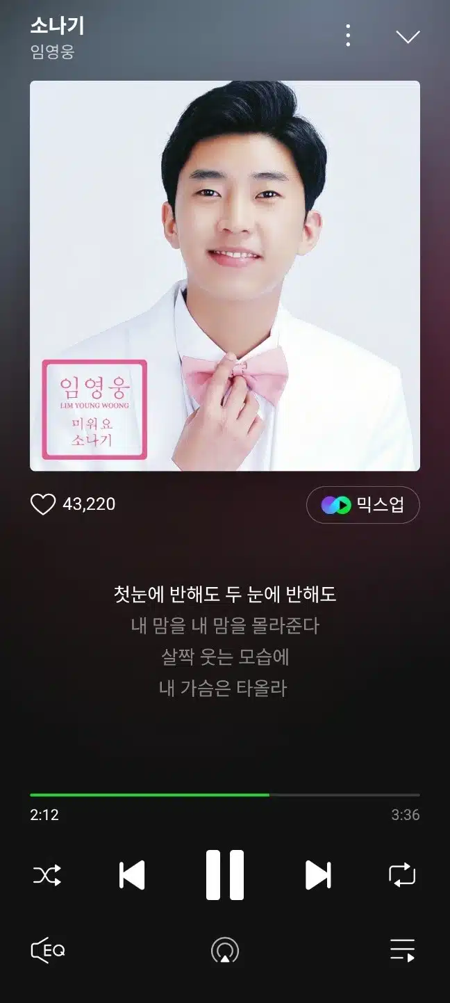 영웅님의 소나기 노래 들으며 주말보내요
