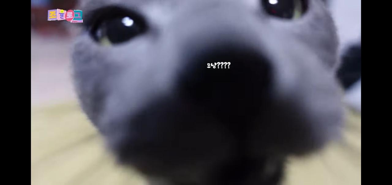 Screenshot_20220205-234804_YouTube.jpg
