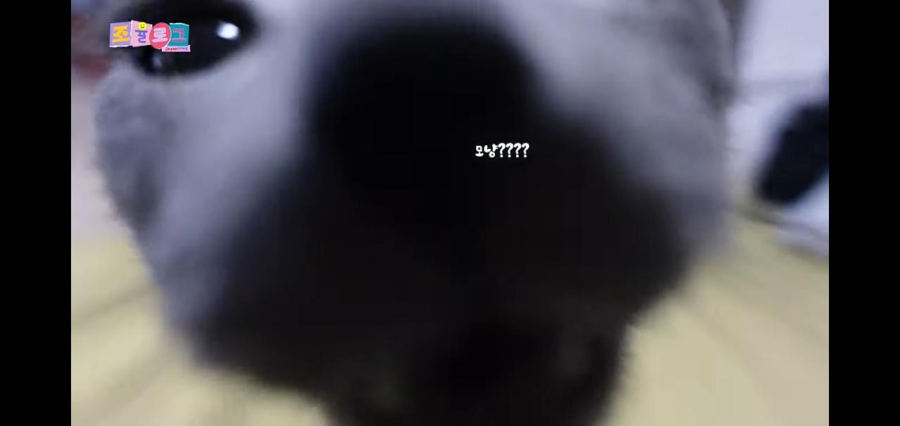 Screenshot_20220205-234758_YouTube.jpg