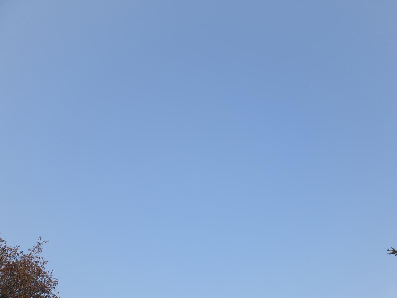 IMG_20220419_071838.jpg