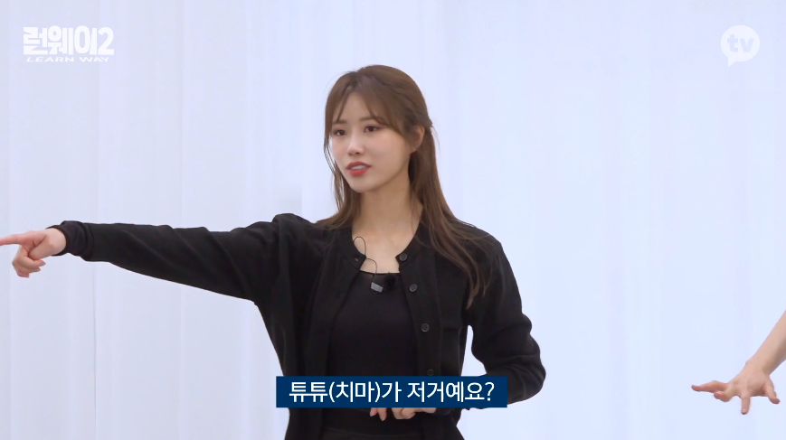 발레치마 입기가 너무 민망했던 러블리즈 미주 2.png