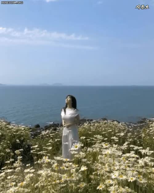 a7b2089bd5de0e40acdeac44f798b32a_1627011473_6002.gif