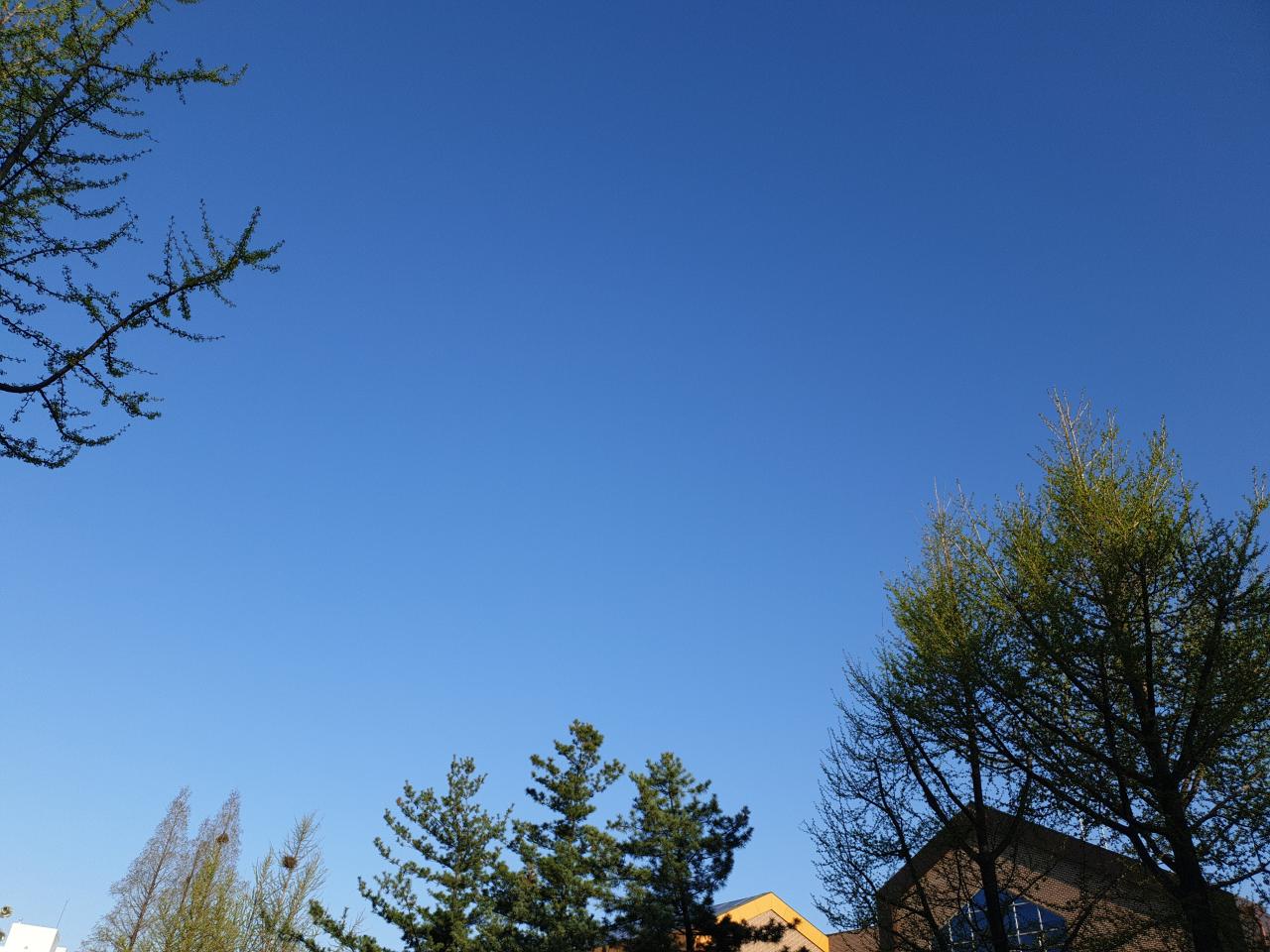 IMG_20220415_071439.jpg
