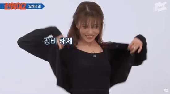 s005.gif