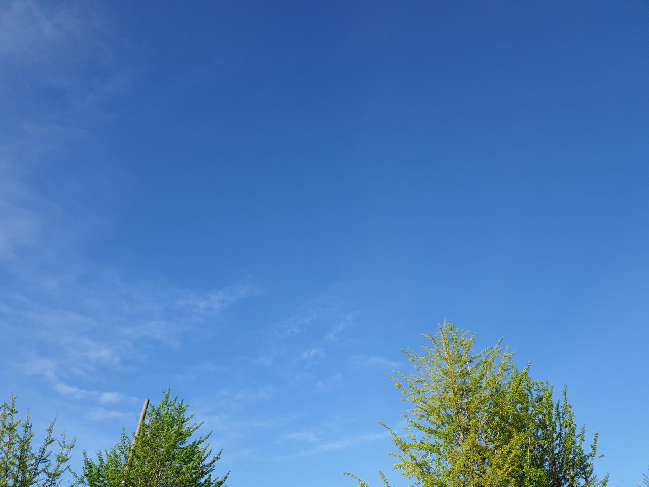 IMG_20220426_071422.jpg