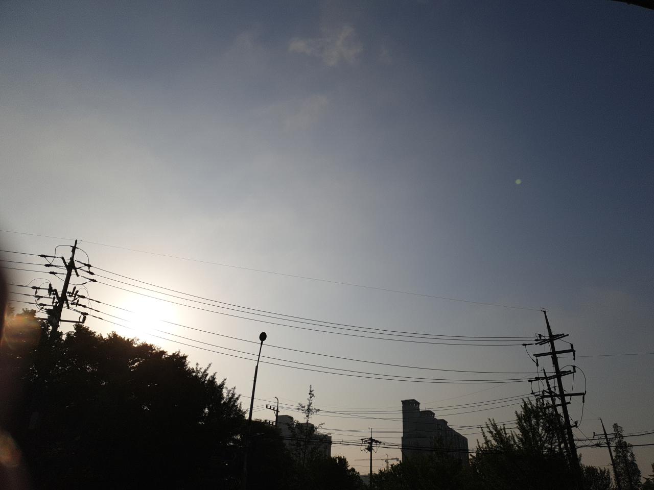 IMG_20220502_071745.jpg