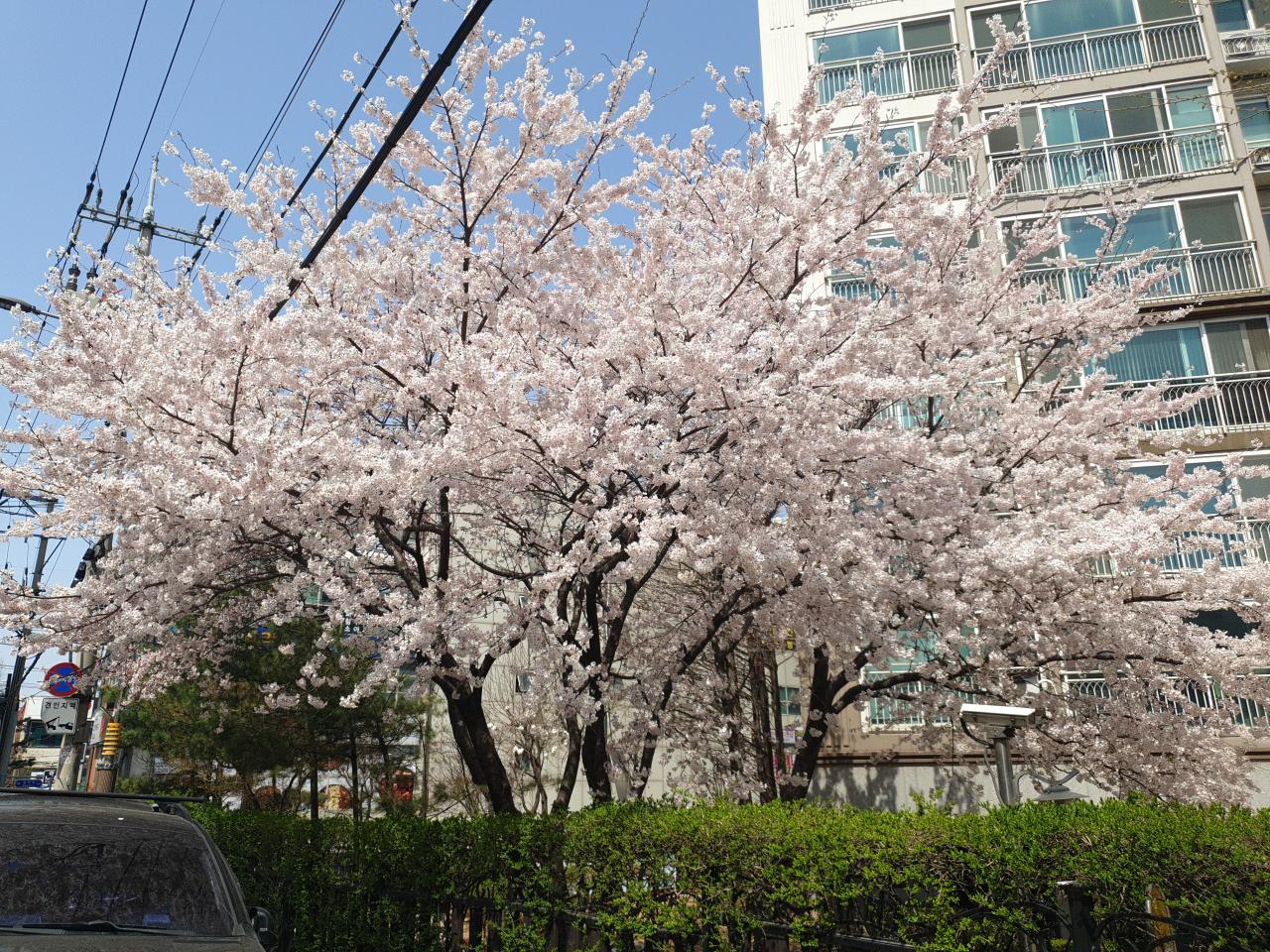 IMG_20220410_123859.jpg