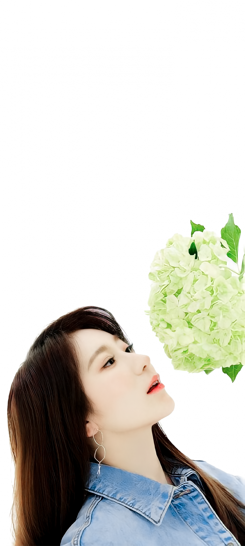 2a2ab52716b9204a4ce21082ae345fdf_1641391872_2584.png