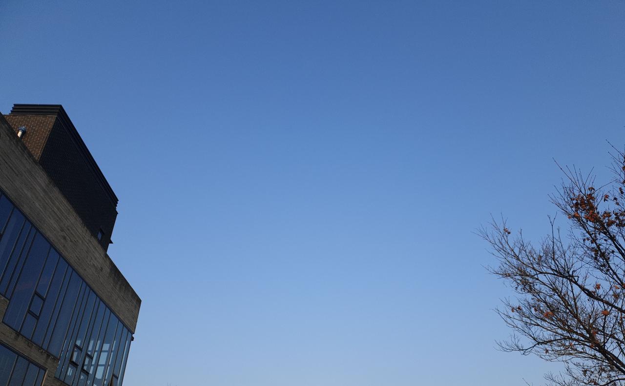 IMG_20220404_071620_2.jpg