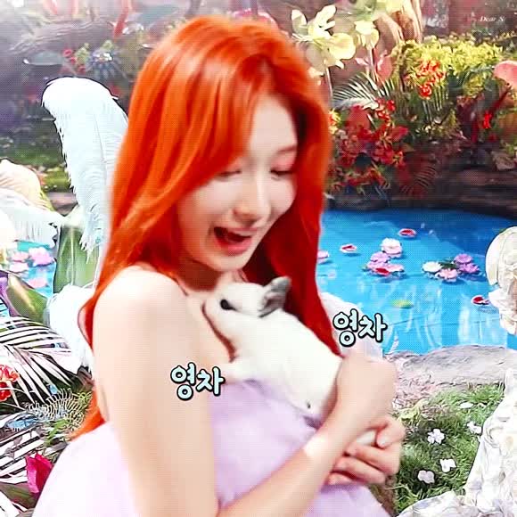 토끼 사나 1.gif