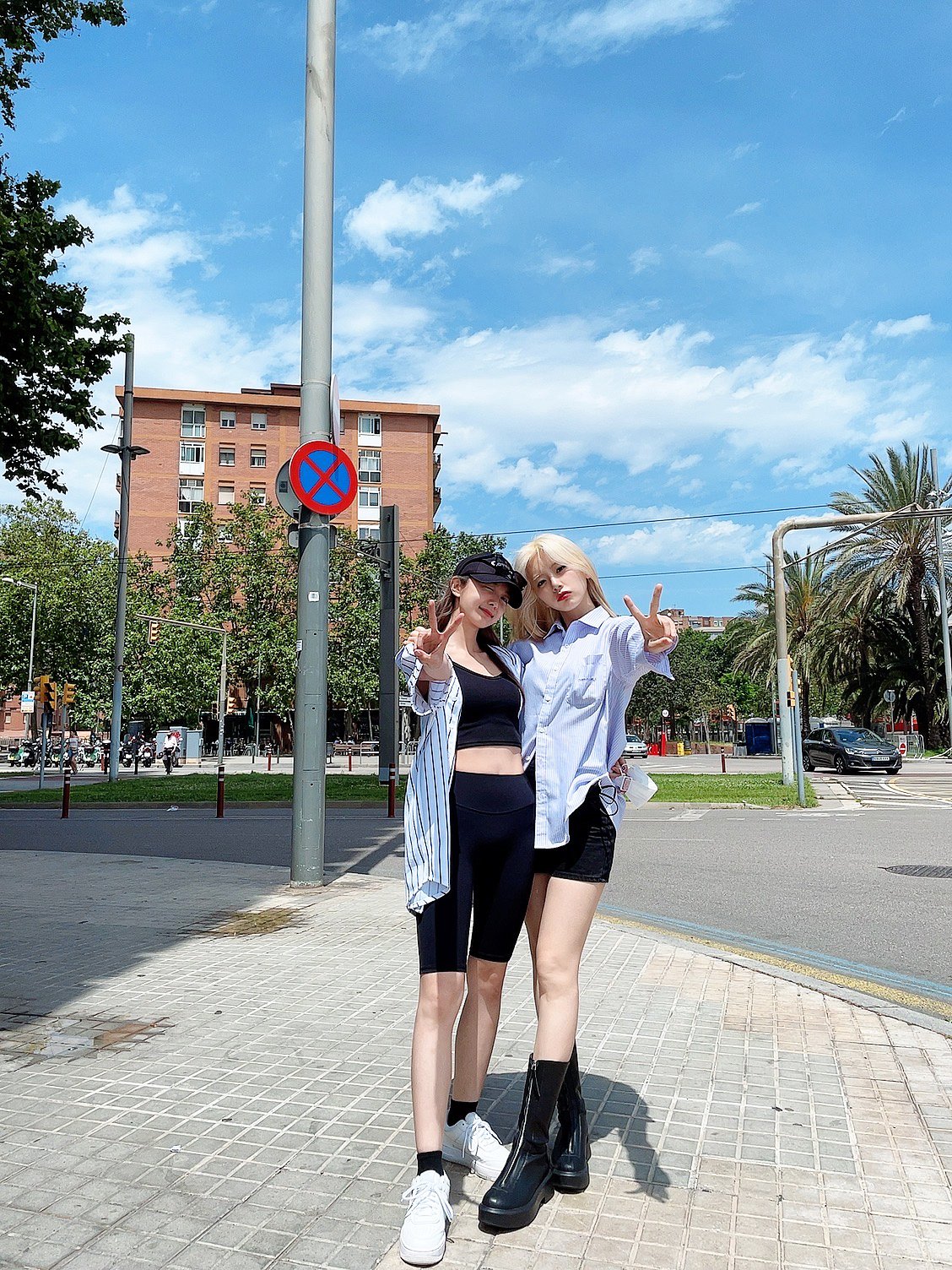 다미1.jpg