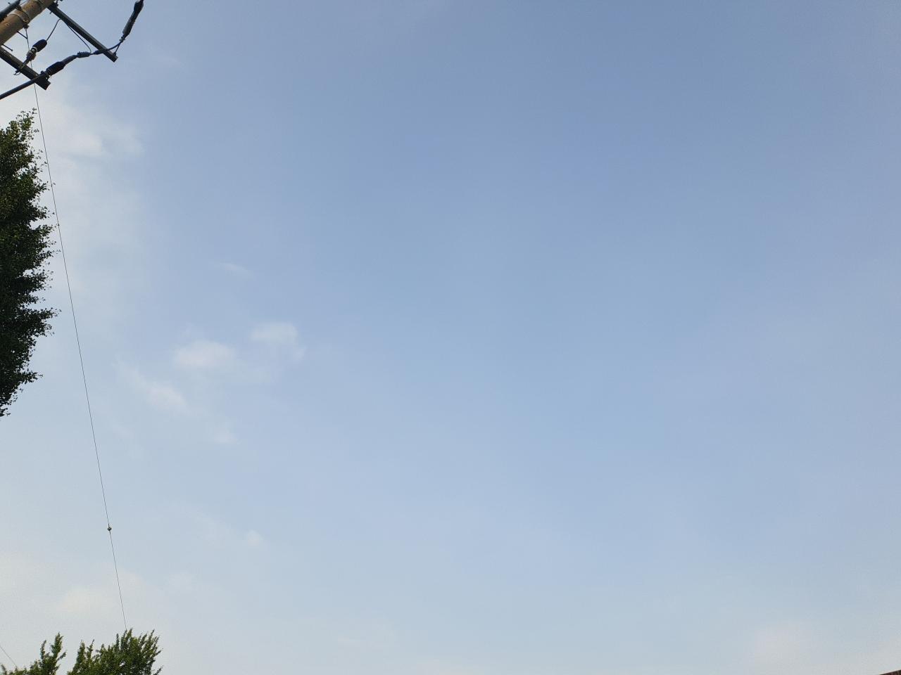 IMG_20220613_071756.jpg