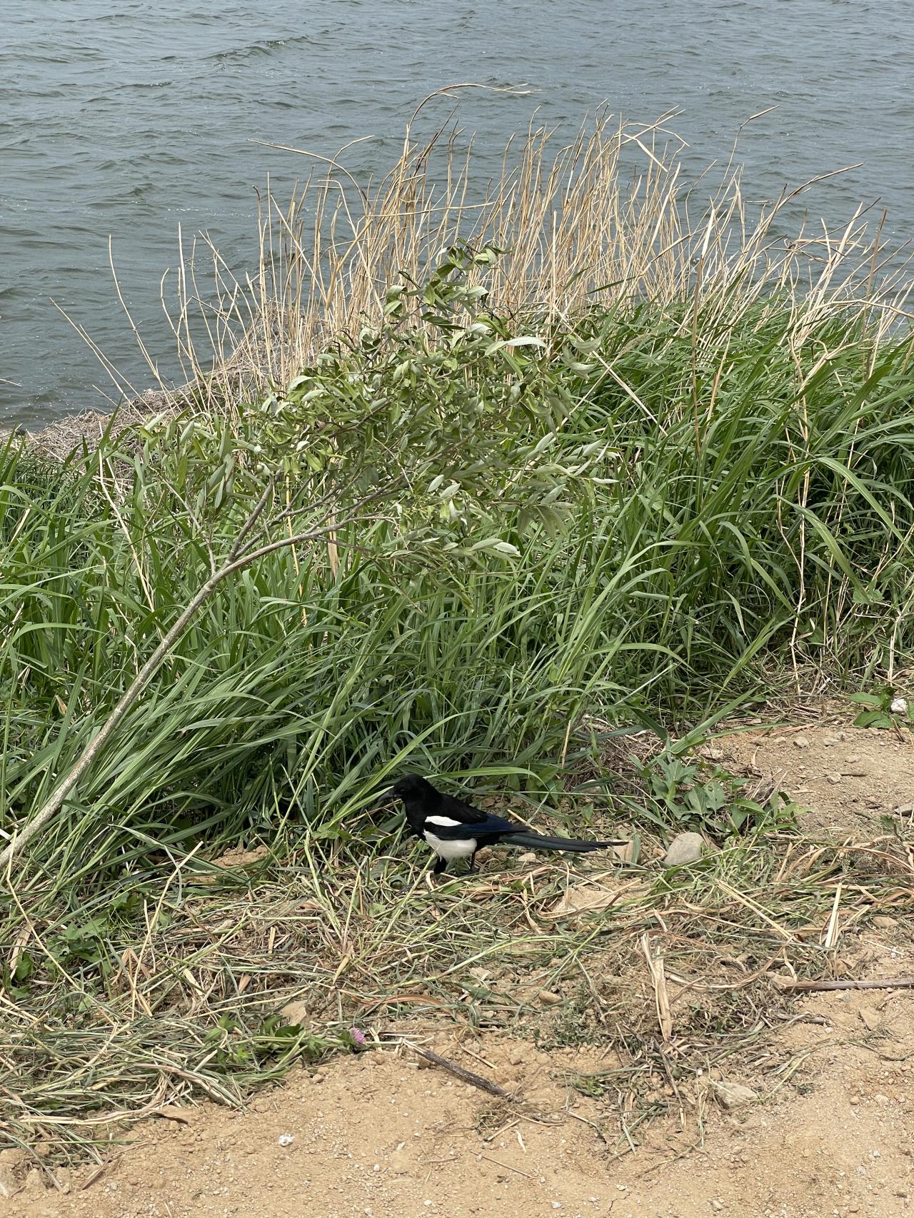 7C08AD17-6BDB-42E7-ABEC-2870D2274F0E.jpeg.jpg