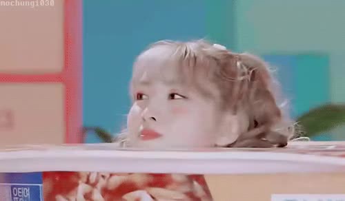 6개장이 된 모모 사나 ㅋㅋ 3.gif