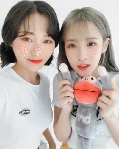 b955e9c224e4716cda94c1b1bbdbf985_1629289444_1989.gif