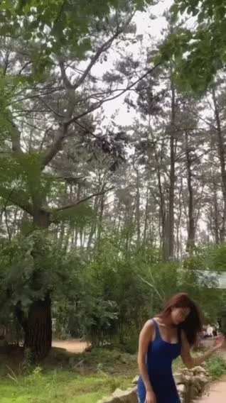 2890167825_fhmvEn96_3bc0adef2d2b02253e4d927ba45a41a01eb709fb.gif