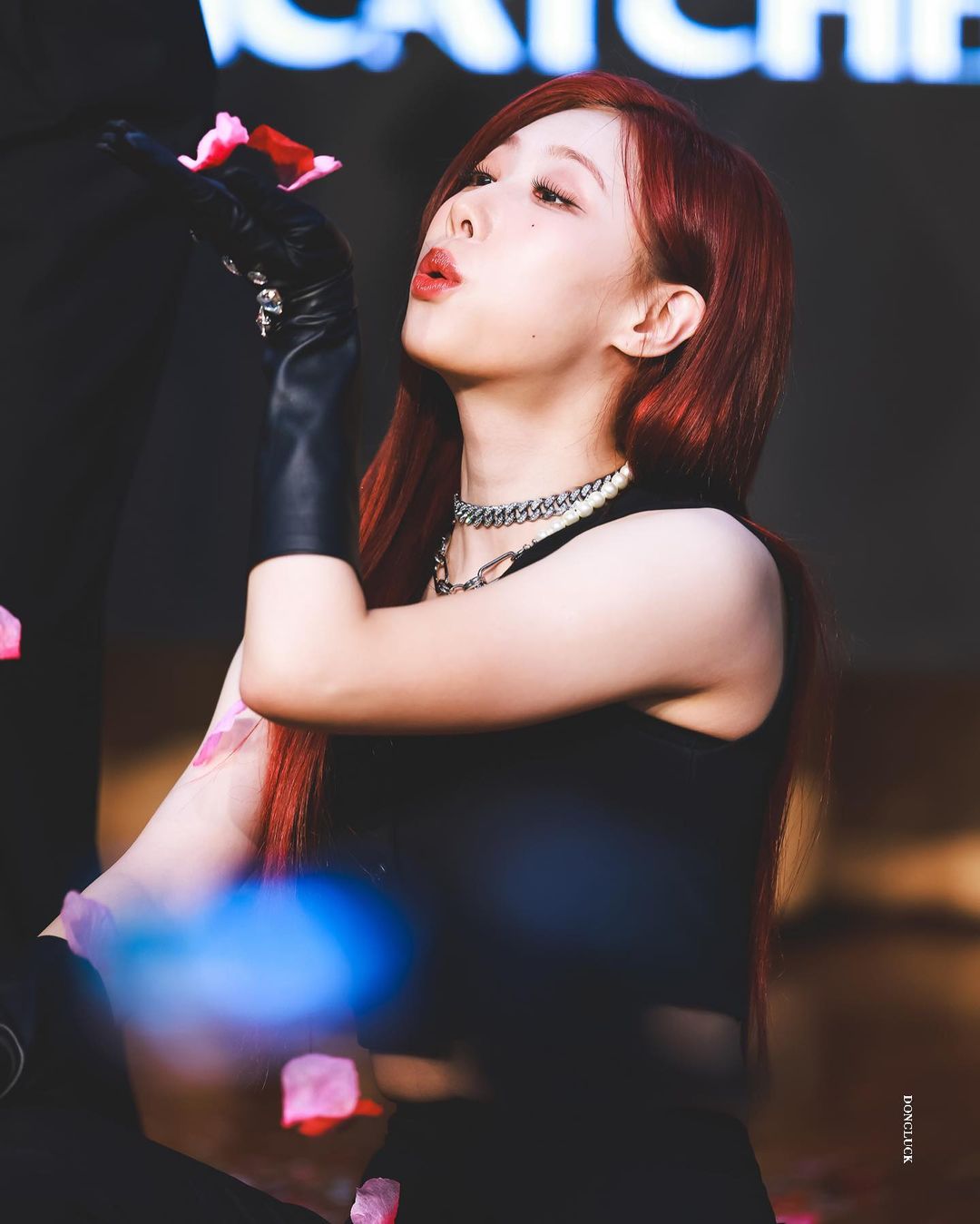 black.stellar_p_CeB-snou4SB_4.jpg