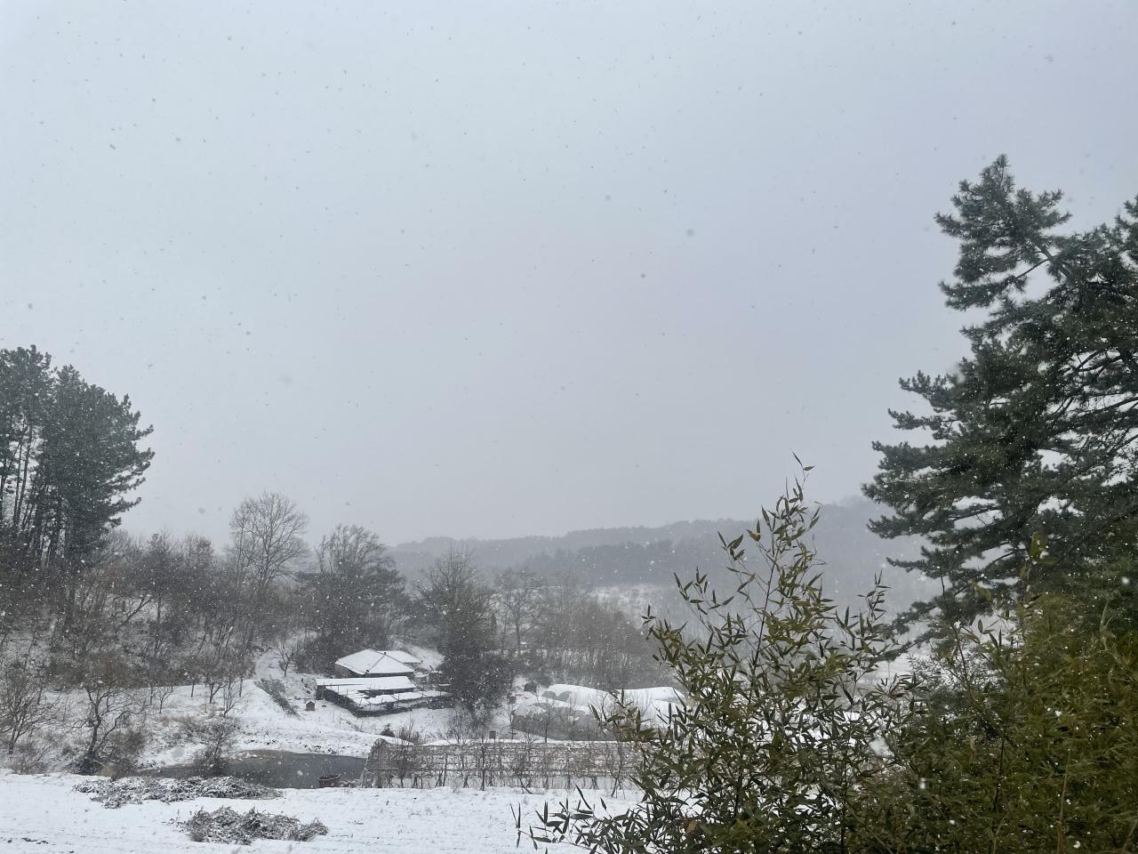 65B35177-7053-46C9-9AEA-00A018F62BE1.jpeg.jpg