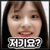 icon_18 (2).gif
