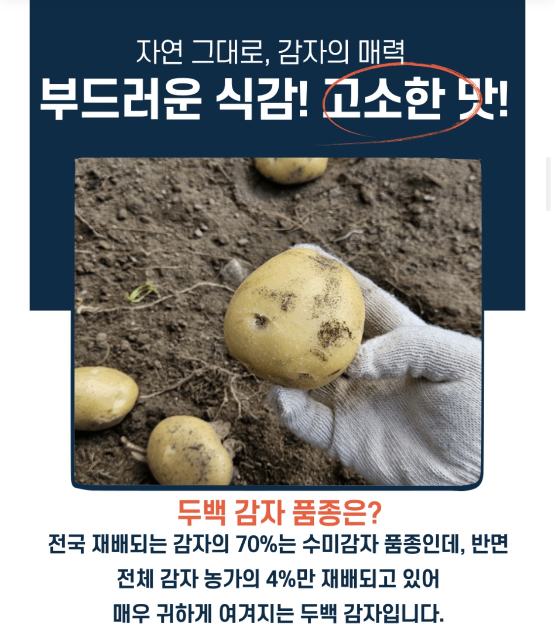 ㄱㅈ2.jpg