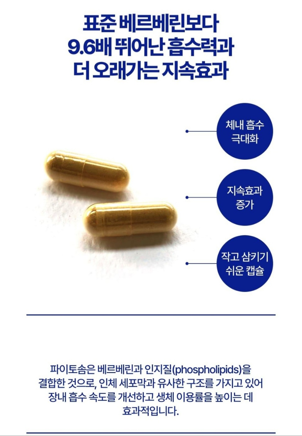 ㅂㄼㄹ4.jpg